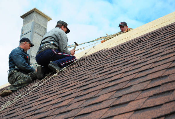 Best Roof Repair Services  in Chico, WA